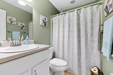 Bath - 528 Ridgewood Dr, Remlap, AL 35133 photo 1 of 1