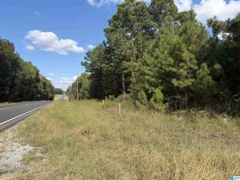 0 Highway 431 Apt 5 - Acres #5 +- ACRES, La Fayette, AL 36862