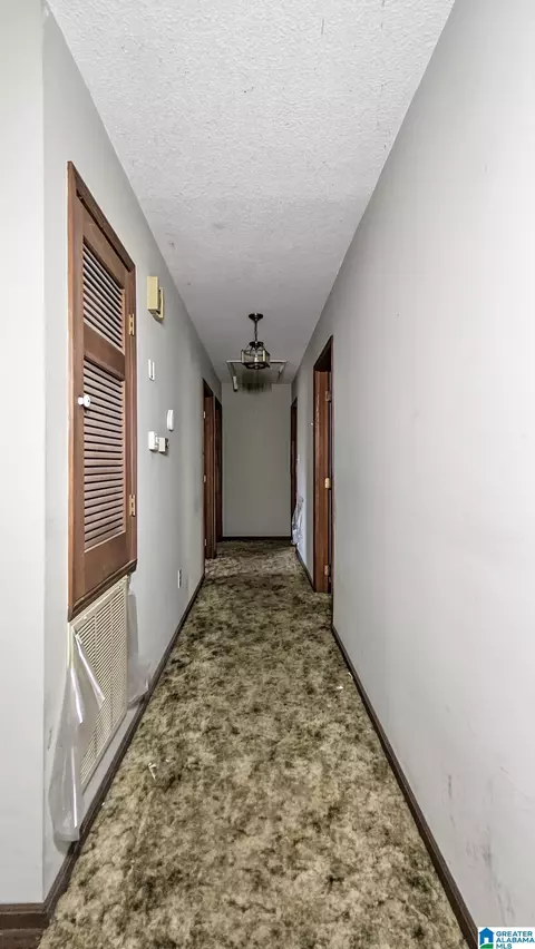 Entry Way - 367 Lovely Ln, Remlap, AL 35133 photo 2 of 7