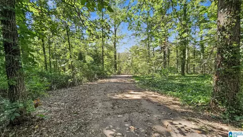 Other - 367 Lovely Ln, Remlap, AL 35133 photo 3 of 12
