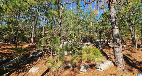 0 Kanasita Dr #N/A, Pell City, AL 35128