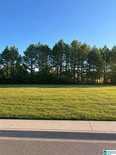 361 Farmingdale Ln #90, Harpersville, AL 35078