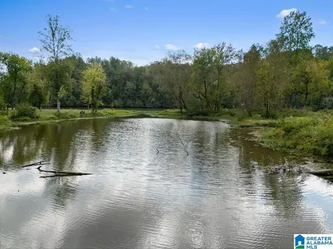 404 Mulberry Holw #11, Cordova, AL 35550