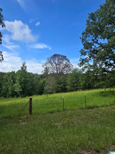 0 County Road 73 #1, Montevallo, AL 35115