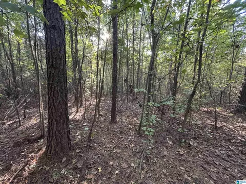 shoal creek road, Ashville, AL 35953