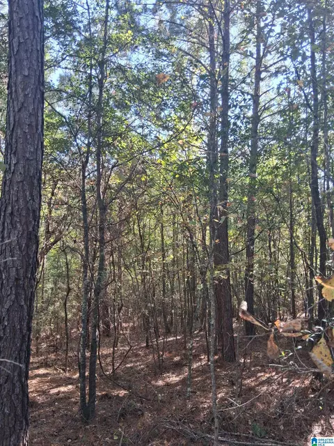 0 County Road 43 #0, Wadley, AL 36276