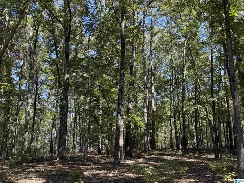 0 County Road 701 Apt 55 - Acres #5.5 +- ACRES, Roanoke, AL 36274