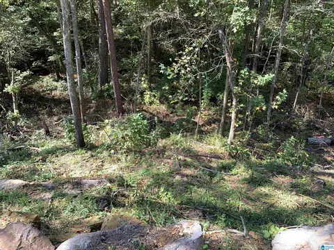 Other - 32 Echo Trl, Warrior, AL 35180 photo 2 of 2