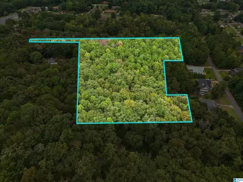 0 Lester Ln #1, Childersburg, AL 35044
