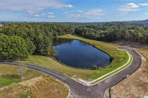 501 Riverwalk Ct, Hoover, AL 35244