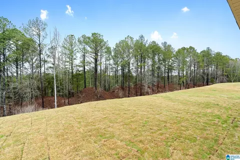 Exterior - 808 Camden Loop, Calera, AL 35040 photo 3 of 3