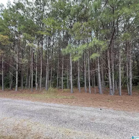 0 Pine Loop Dr, Jasper, AL 35503 photo 7