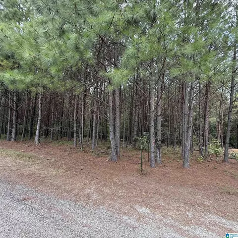 0 Pine Loop Dr, Jasper, AL 35503 photo 2