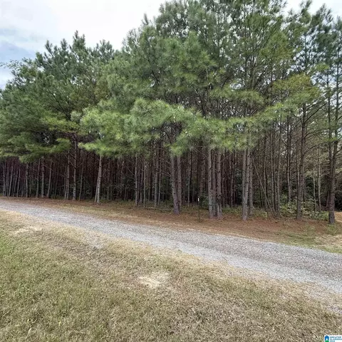 0 Pine Loop Dr, Jasper, AL 35503 photo 3