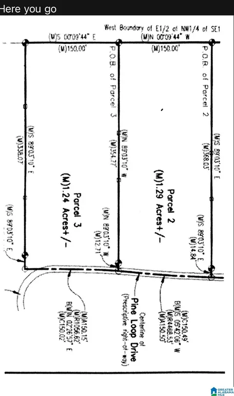 0 Pine Loop Dr, Jasper, AL 35503 photo 8