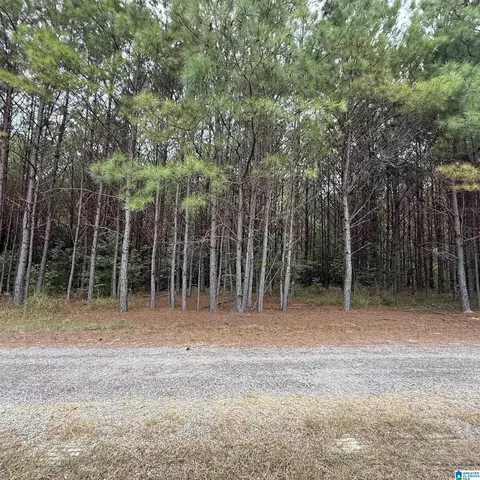 0 Pine Loop Dr, Jasper, AL 35503 photo 5
