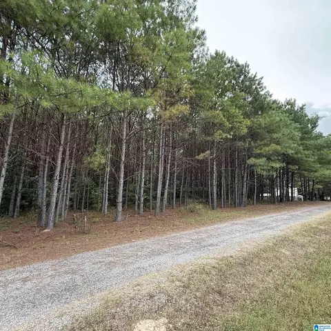 0 Pine Loop Dr, Jasper, AL 35503 photo 4