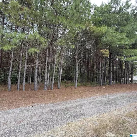 0 Pine Loop Dr, Jasper, AL 35503 photo 6