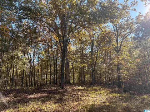 4584 Cabin Rd #9, Mccalla, AL 35022