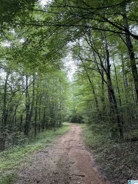 00 Highway 37 #00, Columbiana, AL 35051