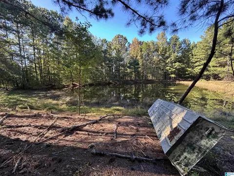 0 Coker Rd, Altoona, AL 35952