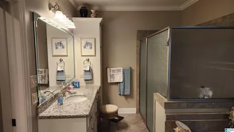 Other - 320 Cotton Ridge Ln, Dothan, AL 36301 photo 8 of 11