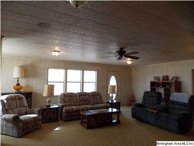 225 Plain View Dr, Oneonta, AL 35121 photo 3