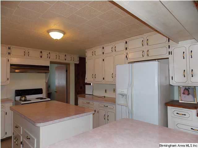 225 Plain View Dr, Oneonta, AL 35121 photo 2