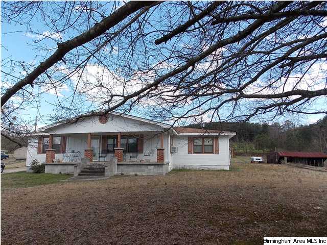225 Plain View Dr, Oneonta, AL 35121 photo 22