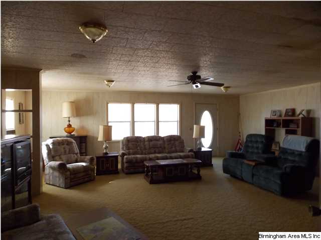 225 Plain View Dr, Oneonta, AL 35121 photo 7