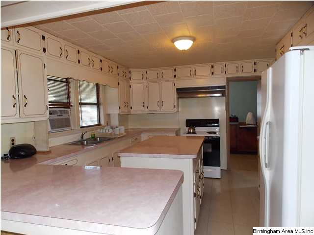 225 Plain View Dr, Oneonta, AL 35121 photo 10