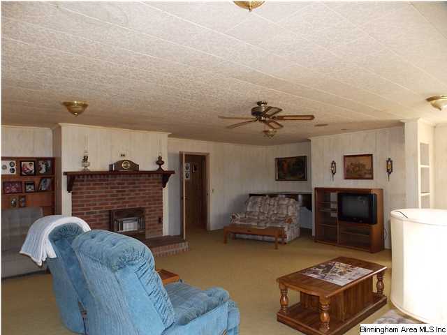 225 Plain View Dr, Oneonta, AL 35121 photo 9