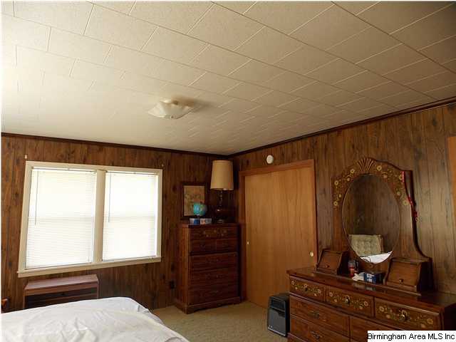 225 Plain View Dr, Oneonta, AL 35121 photo 14