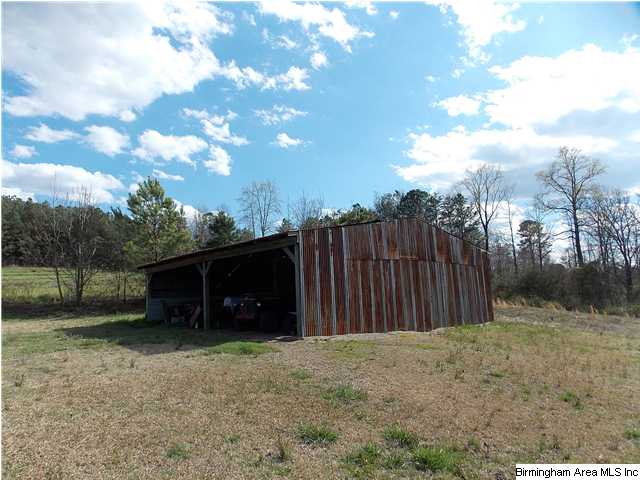 225 Plain View Dr, Oneonta, AL 35121 photo 27
