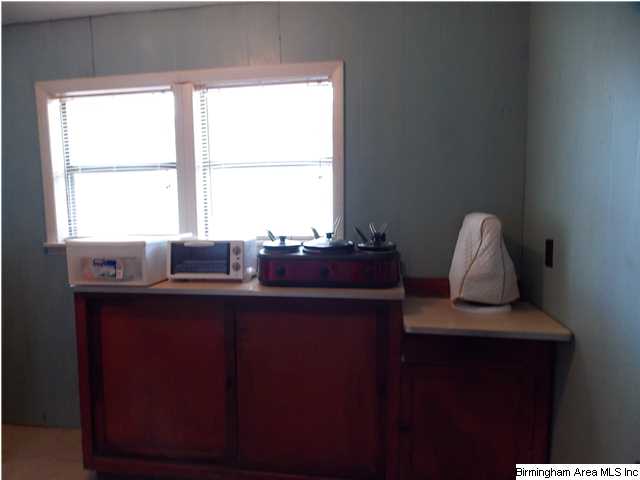 225 Plain View Dr, Oneonta, AL 35121 photo 16