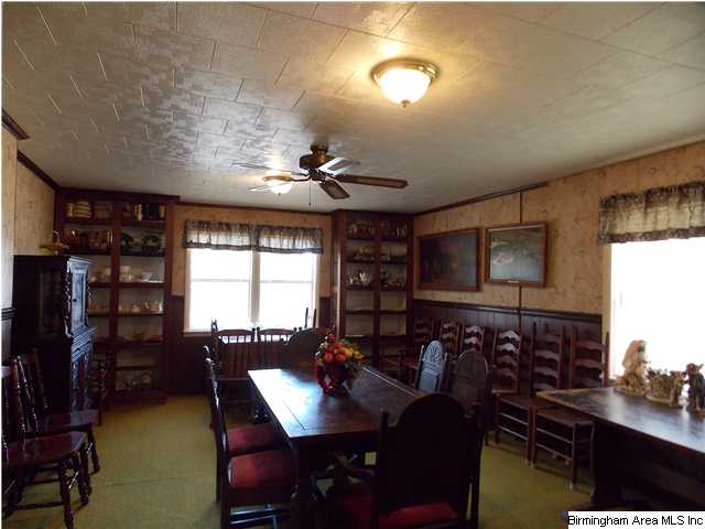 225 Plain View Dr, Oneonta, AL 35121 photo 11