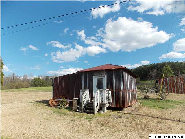 225 Plain View Dr, Oneonta, AL 35121 photo 26