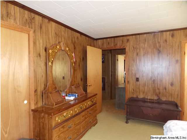 225 Plain View Dr, Oneonta, AL 35121 photo 15