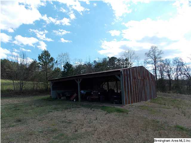 225 Plain View Dr, Oneonta, AL 35121 photo 28