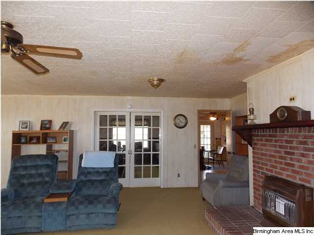 225 Plain View Dr, Oneonta, AL 35121 photo 4