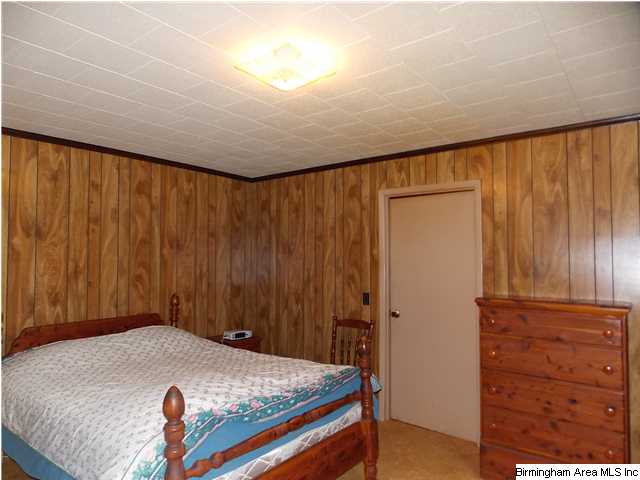 225 Plain View Dr, Oneonta, AL 35121 photo 12