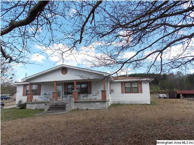 225 Plain View Dr, Oneonta, AL 35121 photo 23