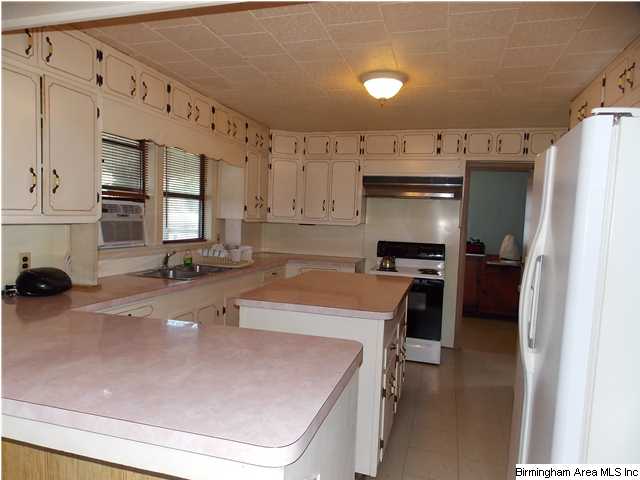 225 Plain View Dr, Oneonta, AL 35121 photo 6