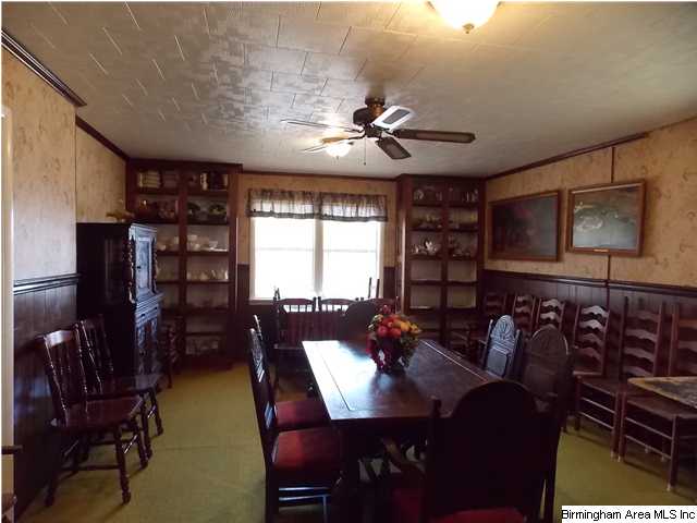 225 Plain View Dr, Oneonta, AL 35121 photo 5