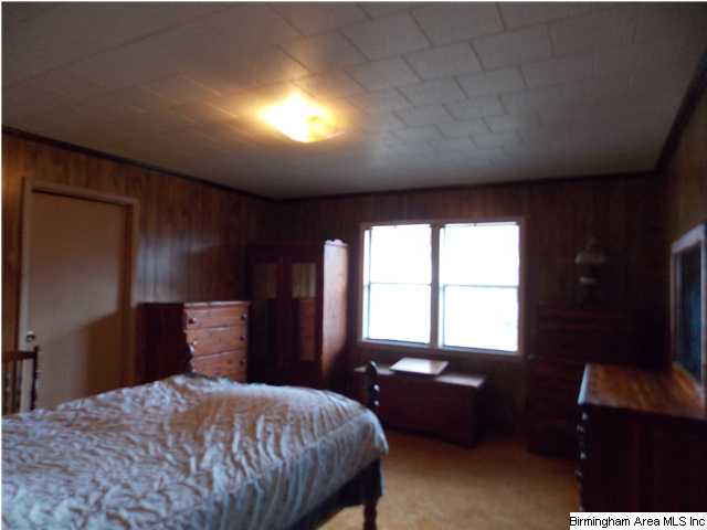 225 Plain View Dr, Oneonta, AL 35121 photo 13