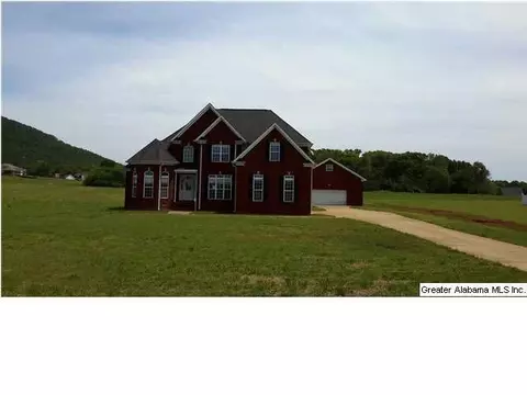 2580 Tallasseehatchee Rd, Alpine, AL 35014 photo 1