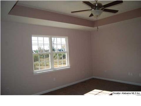229 Bailey Rd, Weaver, AL 36277 photo 9