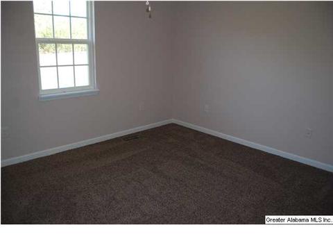 229 Bailey Rd, Weaver, AL 36277 photo 16