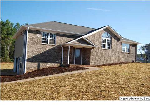 229 Bailey Rd, Weaver, AL 36277 photo 1