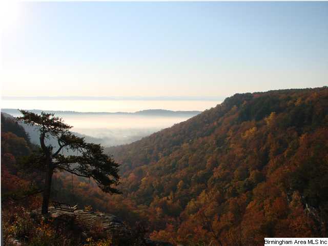 505 Loop Rd, Steele, AL 35987 photo 1